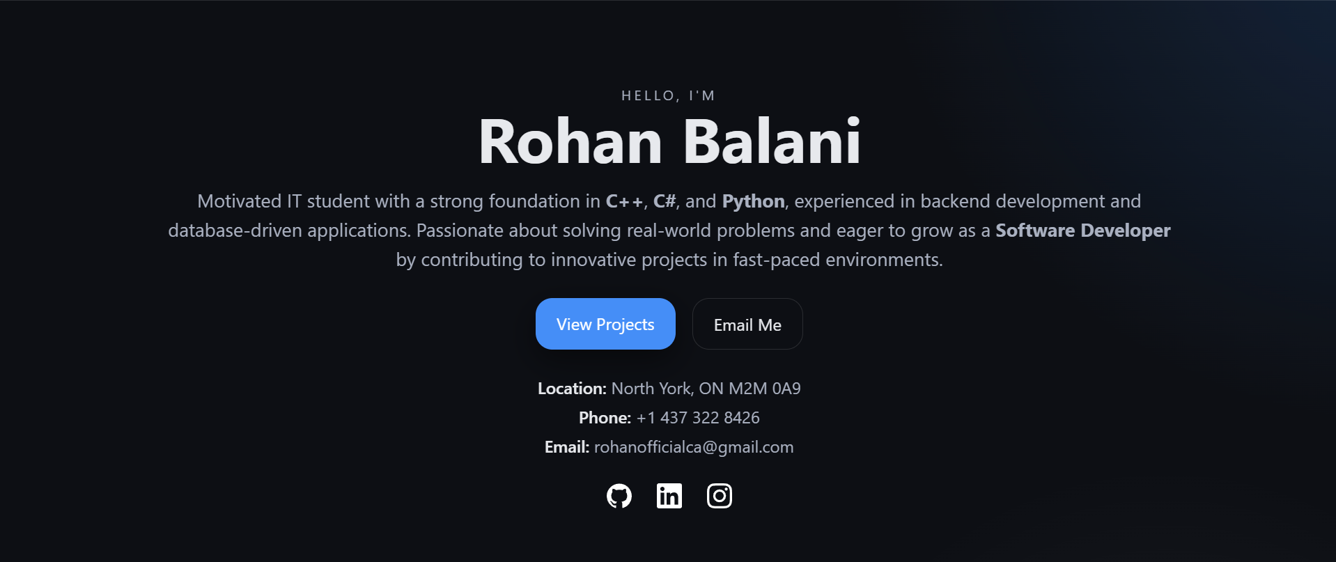 Portfolio Website Screenshot